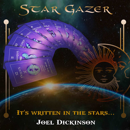 Star Gazer by Joel Dickinson - northernmiracles